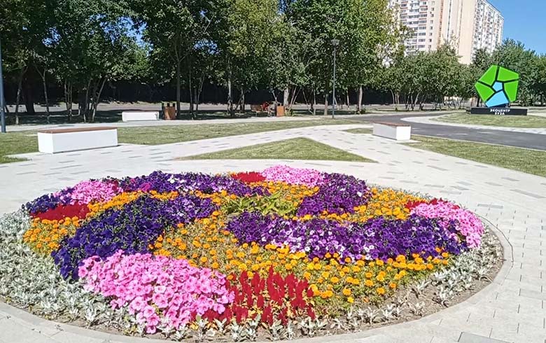 Посадка растений - примеры работ Посадка растений - примеры работ